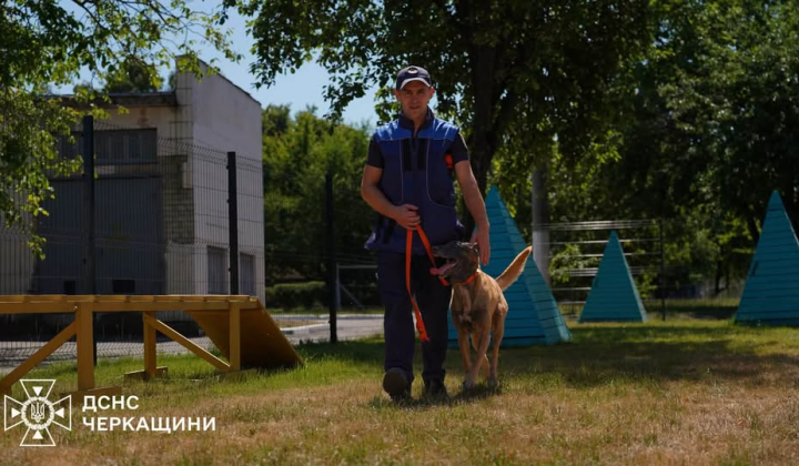 Emergency service dog training to search for the deceased