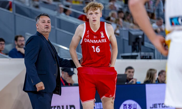 Denmark national team's defeat against Ukraine