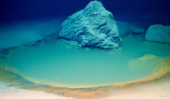 Red Sea bacteria producing energy