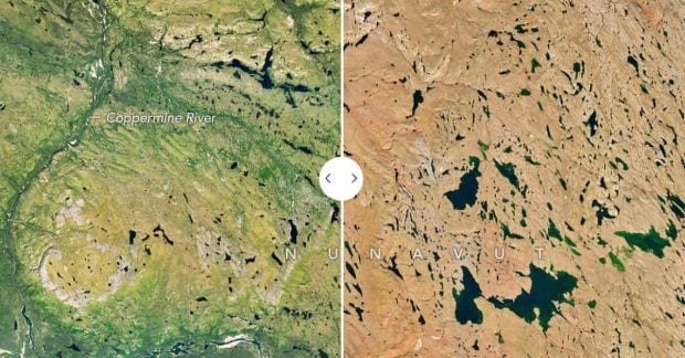 Ранняя осень в Нунавуте, цвета листвы