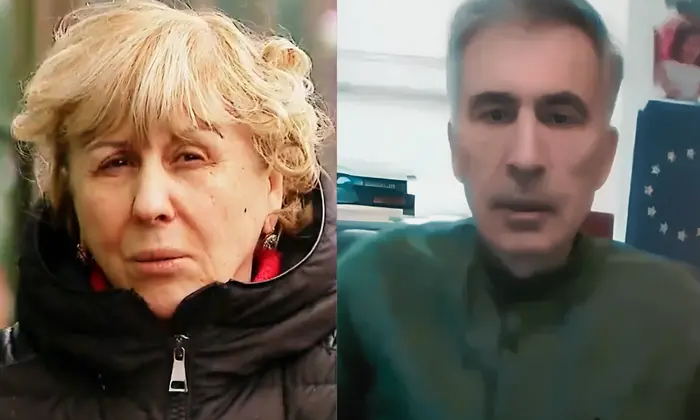Mikheil Saakashvili and his critics