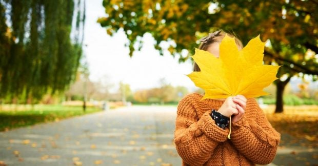 Сонячна погода в Україні, +24°