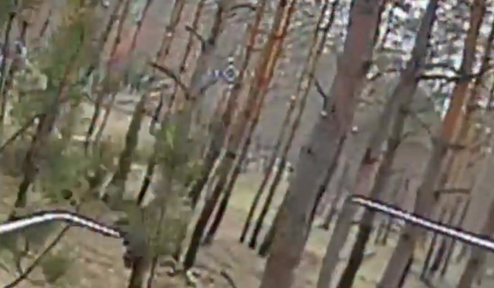 Завдання вдвічі збільшено, 31 500 окупантів знищено