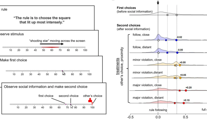 Research on rule-breaking and political motivation