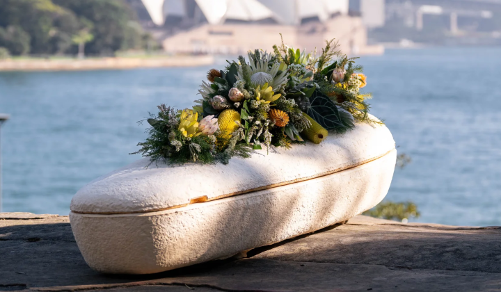 Eco-friendly burial in mushroom coffin