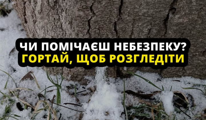 Камуфлированные взрывоопасные предметы на фотографии