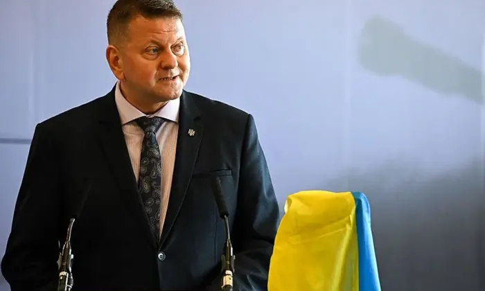Zaluzhny explains the importance of energy decentralization