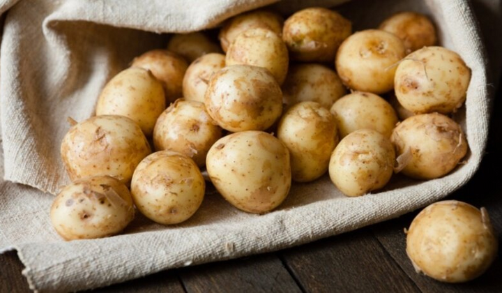 Молода картопля за низькою ціною