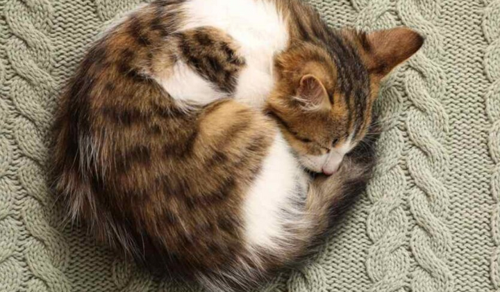 Діденко розповіла про погоду