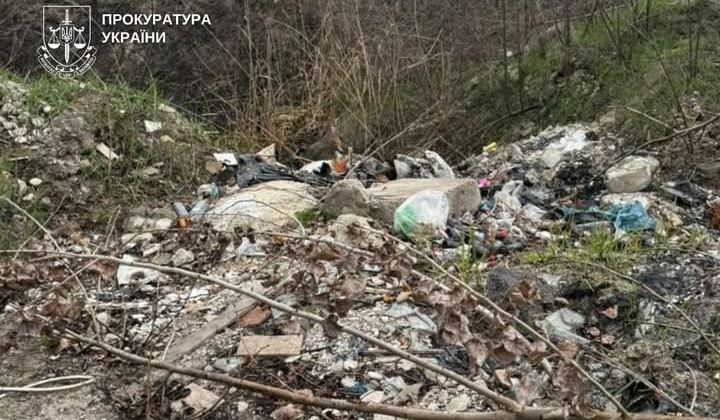 Свалки в Деснянском районе