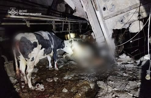 Дрони падали біля будинків на Чернігівщині