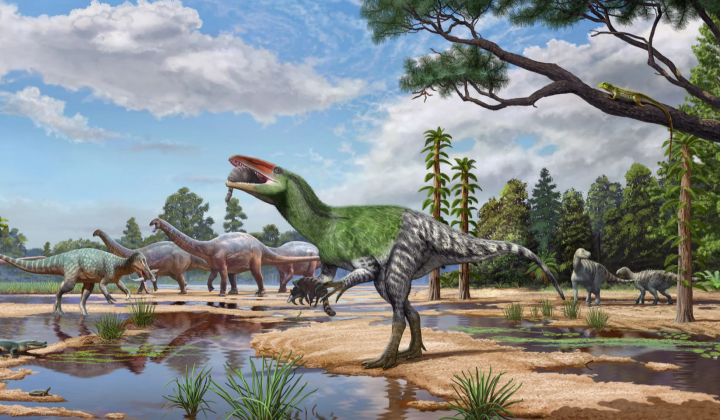 Fossil remains of a new megaraptor species