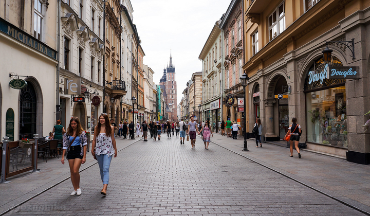 Правила для українських біженців у Польщі