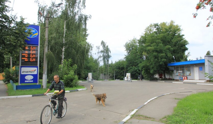 АЗС підвищила доступність одного виду бензину