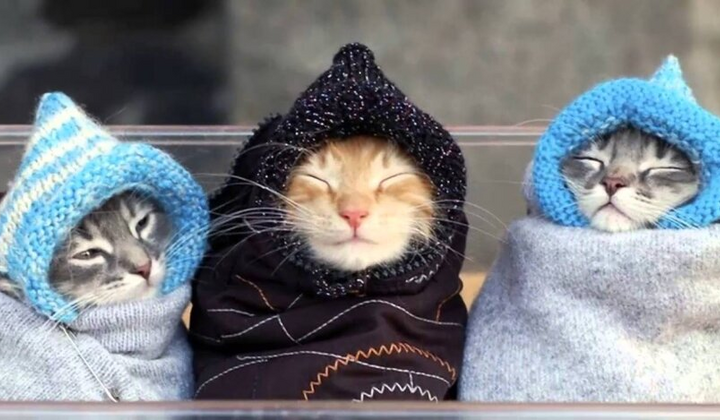 Снег в сентябре: неожиданное похолодание