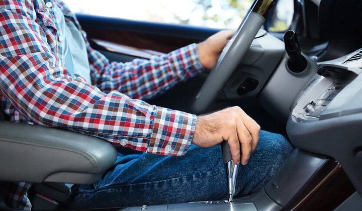 Водії не дійні корови Попенко