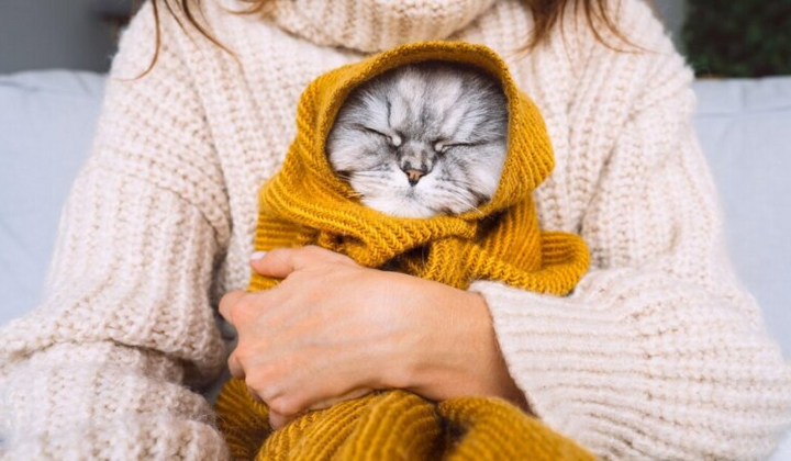 Первые заморозки: синоптик назвал самые холодные области