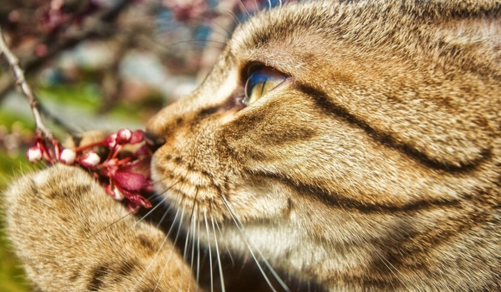 Синоптик Діденко прогнозує погоду