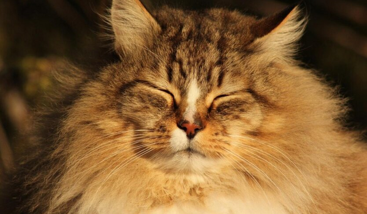 Сильний вітер та температурні гойдалки