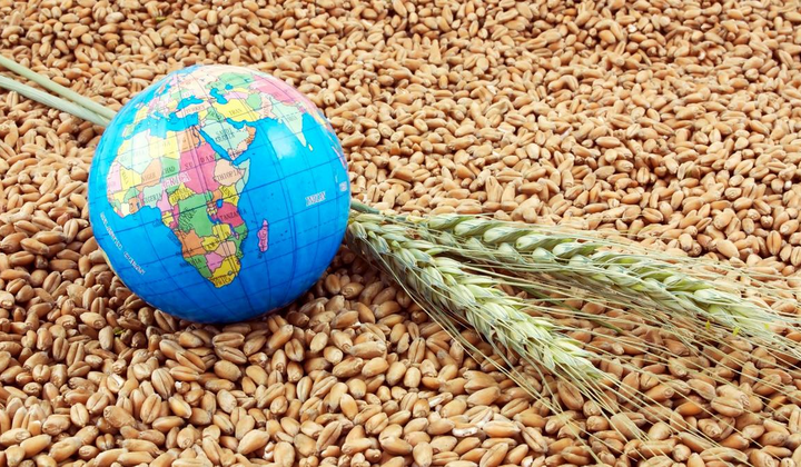 Литва допомагає Україні з експортом зернових