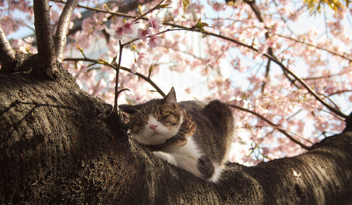 Травневі дощі з грозами над Україною