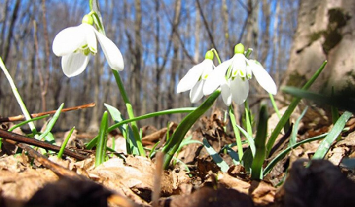 Погода до +20, з сильним вітром
