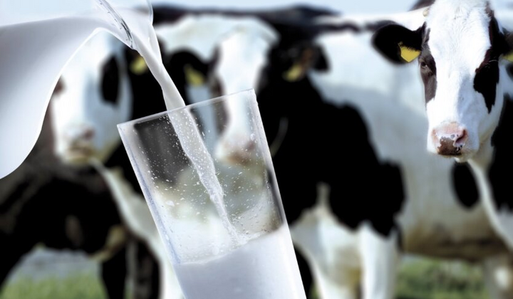 Динаміка цін на молоко у червні