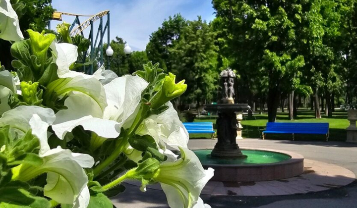 Атмосферний фронт йде: спека до +32