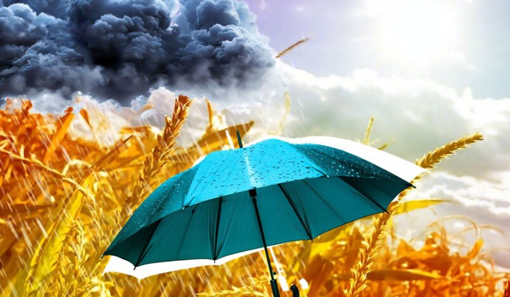 Синоптик Діденко - тривожний прогноз погоди