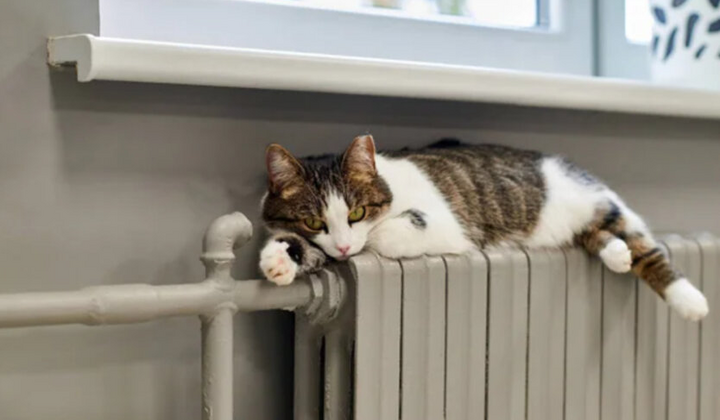 Українці без тепла: експерт Попенко попередив