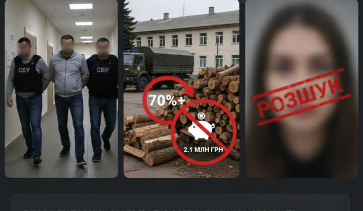 Хищение средств на древесину