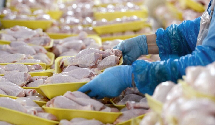 Курятина в супермаркетах України: огляд цін