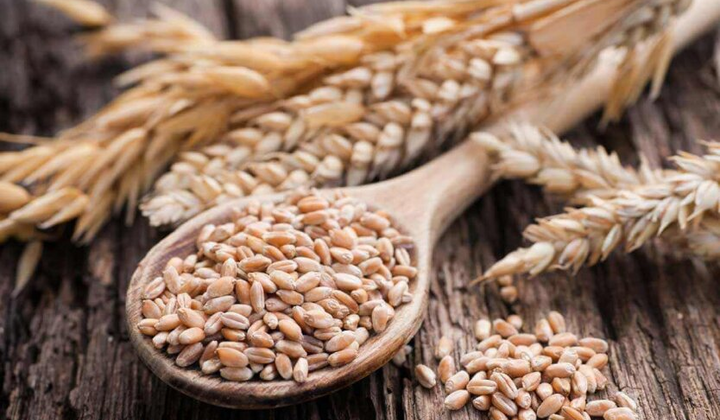 Украина экспортирует зерно в январе