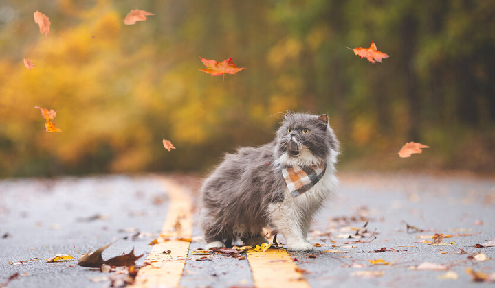 Карта України з жовтою лінією та грозами