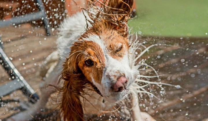 Синоптик Діденко прогнозує спеку до +36 градусів