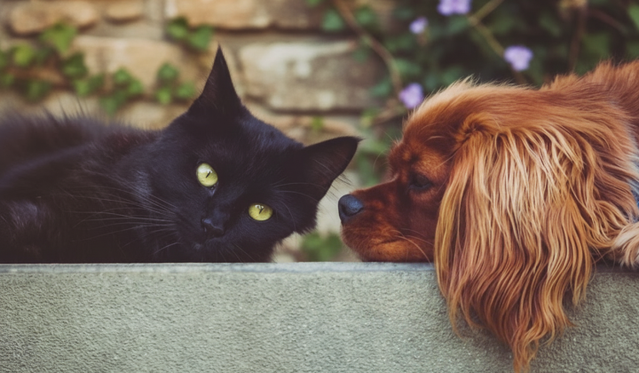 Снег и изменение температуры в Украине