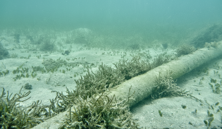 Блокада морських шляхів Росії