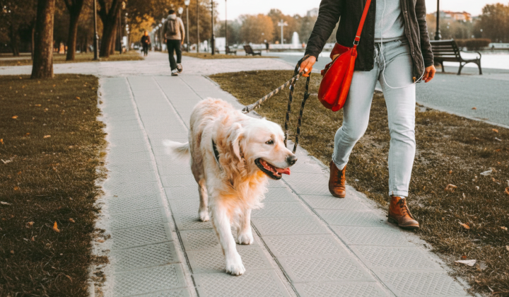 Перепади температури та ожеледиця