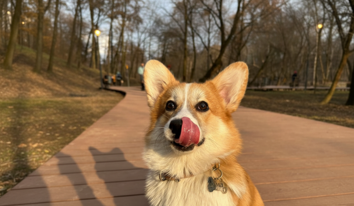 Атмосферний фронт в Україні