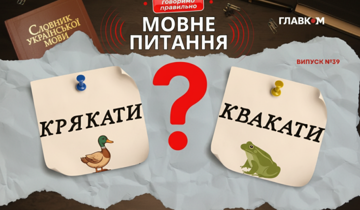 Жаба и утка в природе