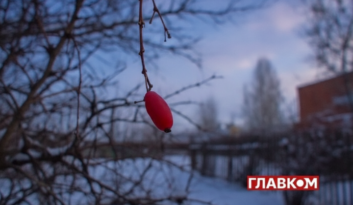 Гололед и метель в Украине