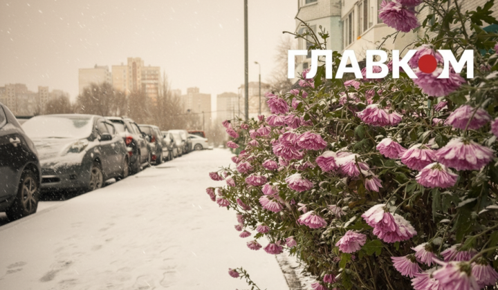 Warm winter weather in Kyiv