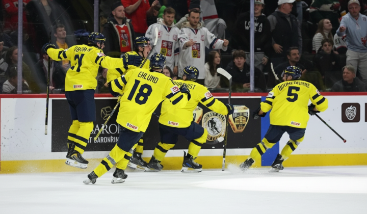 Sweden won the final against the Czech Republic