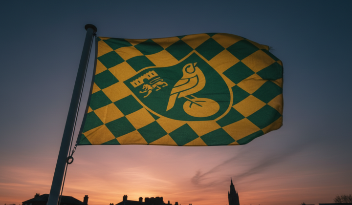 A fan at the 'Norwich' match
