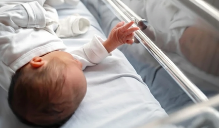 Image shows newborn babies in the hospital