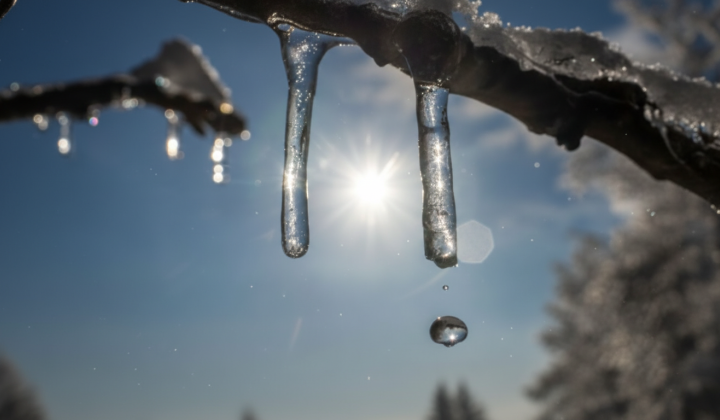 Weather after frost in Ukraine