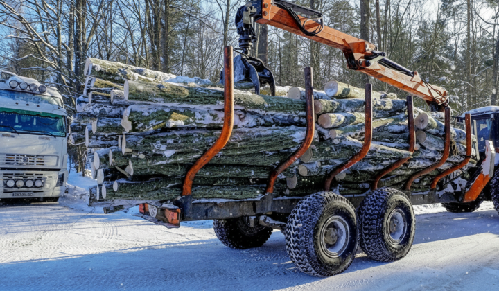Consumer activity on the Ukrainian firewood market