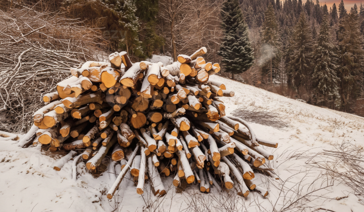 Fines for illegal tree cutting