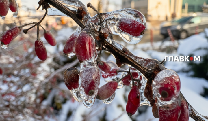 Weather forecast: frost will weaken, snow will cover the country
