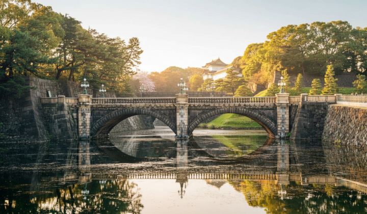 8 unique Tokyo tours